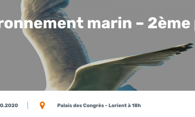 CPDP Bretagne sud : 2ème débat sur l’environnement marin