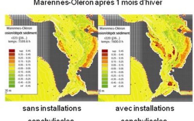 Hector : science collaborative autour de Hydro-morphodynamisme en zone littorale