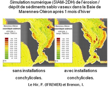 Hector : science collaborative autour de Hydro-morphodynamisme en zone littorale