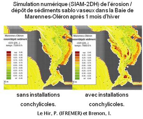 Hector : science collaborative autour de Hydro-morphodynamisme en zone littorale