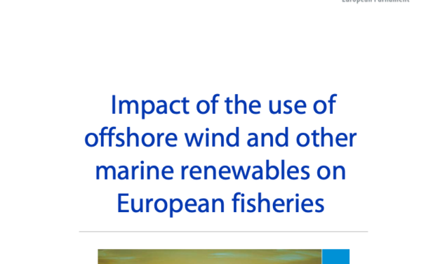 Étude : Impact of the use of offshore wind and other marine renewables on European fisheries