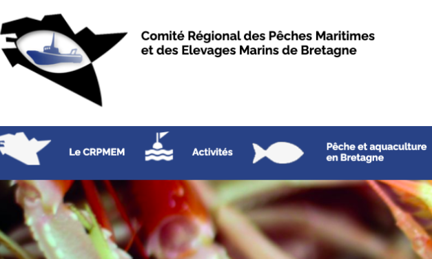 Eoliennes en Baie de Saint-Brieuc : Le CRPMEM de Bretagne monte au créneau