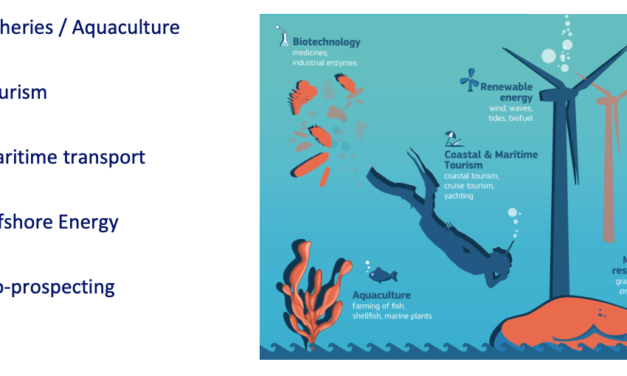 L’aire méditerranéenne se réchauffe 20 % plus rapidement que la moyenne mondiale