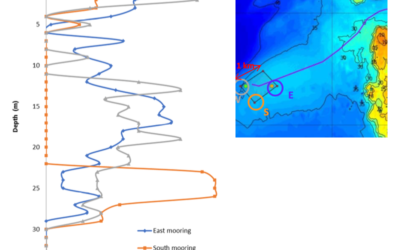 Effect of Marine Growth on Floating Wind Turbines Mooring Lines Responses