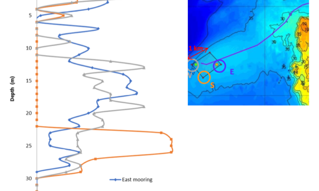 Effect of Marine Growth on Floating Wind Turbines Mooring Lines Responses