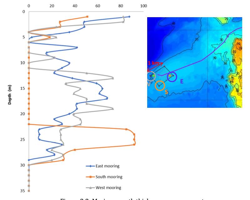 Effect of Marine Growth on Floating Wind Turbines Mooring Lines Responses