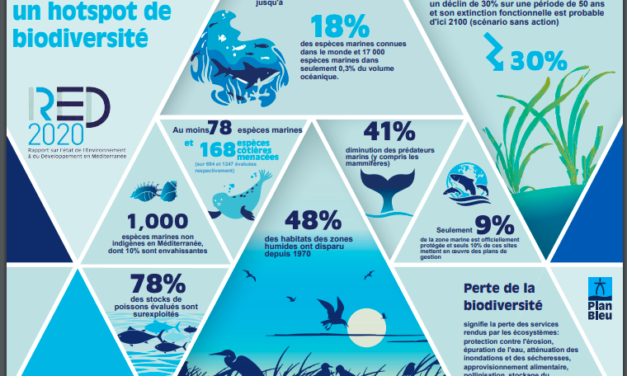 La Méditerranée : comment atteindre un bon état écologique ? Les énergies renouvelables en mer pourront-elles y participer ?