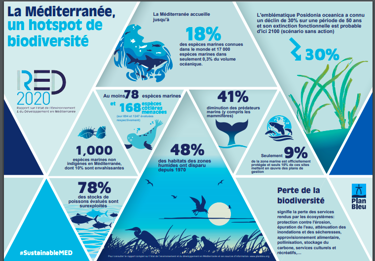 La Méditerranée : comment atteindre un bon état écologique ? Les énergies renouvelables en mer pourront-elles y participer ?