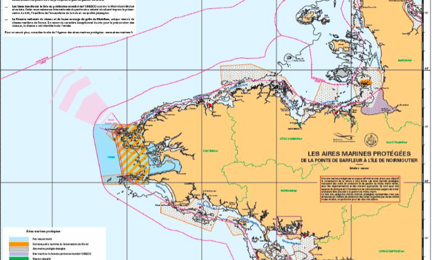 Emmanuel Macron annonce une nouvelle stratégie pour les aires marines protégées