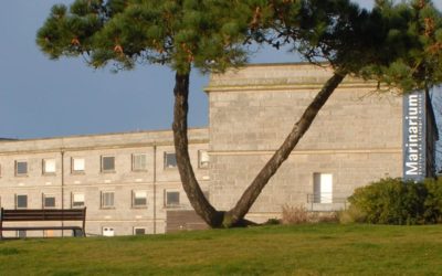 Offre post-doctorat au Muséum national d’Histoire naturelle