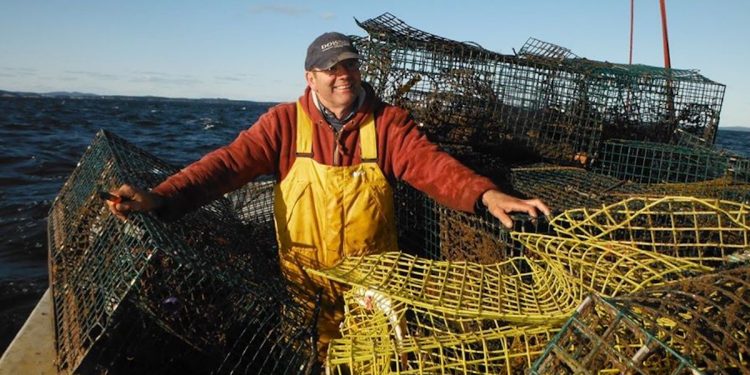 Canada – $8,3 millions pour récupérer des engins de pêches commerciales