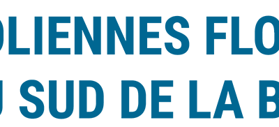 CPDP Bretagne sud : Compte rendu et Bilan du débat public « des éoliennes flottantes »