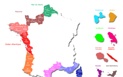 Anne-Sophie Leclère, nouvelle déléguée générale de l’ANEL