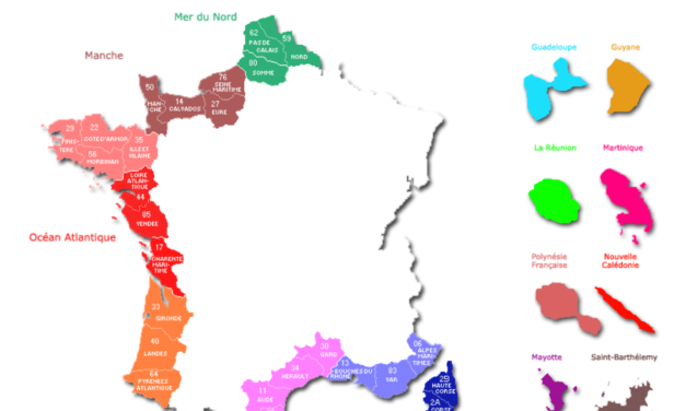 Anne-Sophie Leclère, nouvelle déléguée générale de l’ANEL