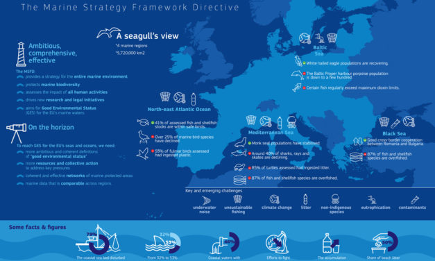 Rapport de la députée européenne Catherine Chabaud sur « Les effets des déchets marins sur la pêche »