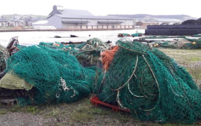 Thèse : un poste sur les « Matériaux pour réduire l’impact environnemental d’engins de pêche »