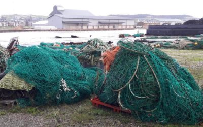 L’Europe et la France remettent la pêche sous oxygène et premier versement de la taxe éolienne en mer