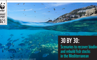 Le rapport de WWF sur la protection de la mer Méditerranée vient de paraître