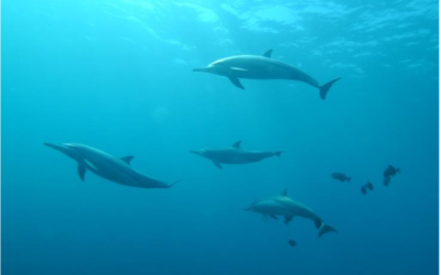 Annick Girardin, s&rsquo;intéresse au spatial pour la gestion des territoires maritimes.