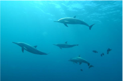 Annick Girardin, s&rsquo;intéresse au spatial pour la gestion des territoires maritimes.