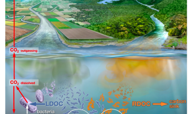 Révolution pour analyser le niveau de pollution par les eaux usées