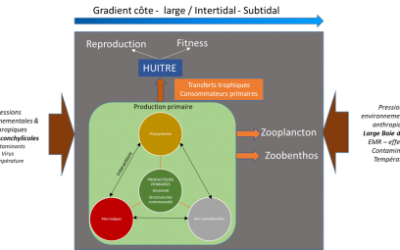 Dialogue Zéro : Jusqu&rsquo;où ira la pêche aux arguments scientifiques ?