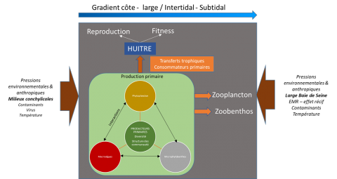 Dialogue Zéro : Jusqu&rsquo;où ira la pêche aux arguments scientifiques ?