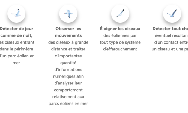 Le dépot des candidatures pour les prix EDF Pulse PACA est ouvert