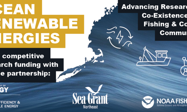 Recherche et homards dans l&rsquo;État du Maine