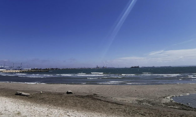 Conversations autour du projet d’éoliennes flottantes dans le golfe du Lion par Yves Henocque