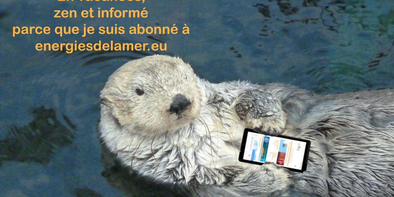 Accédez aux articles complets avec un abonnement à energiesdelamer.eu !