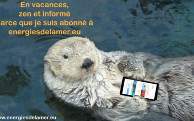 Accédez aux articles complets avec un abonnement à energiesdelamer.eu !