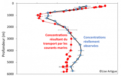 Cycles biogéochimiques océaniques : apports des traceurs élémentaires et isotopiques, l’aluminium et le fer couplés à une approche hydrodynamique ».