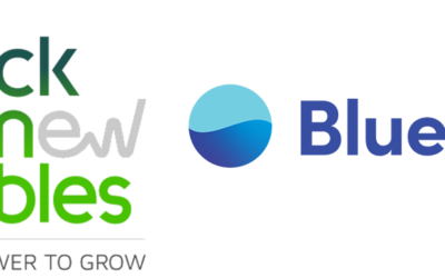 BlueFloat Energy et Falck Renewables regardent le potentiel éolien flottant en mer Celtique – 2