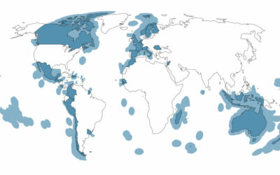 En ouverture de la COP26 le message « Protéger l’océan, c’est protéger le climat »