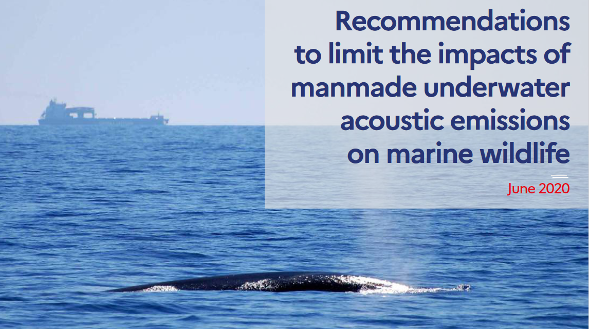 Recommendations to limit the impacts of manmade underwater acoustic emissions on marine wildlife