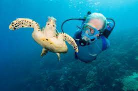 Jean-Michel Cousteau demande aux dirigeants de s’engager pour les océans