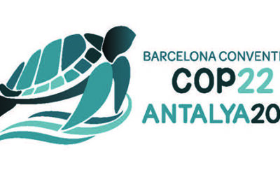 Avant la COP22, retour sur le Forum « 2020 » des AMPs en Méditerranée