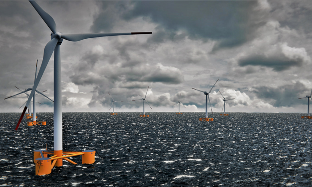 Dolfines franchit un pas supplémentaire dans sa transition