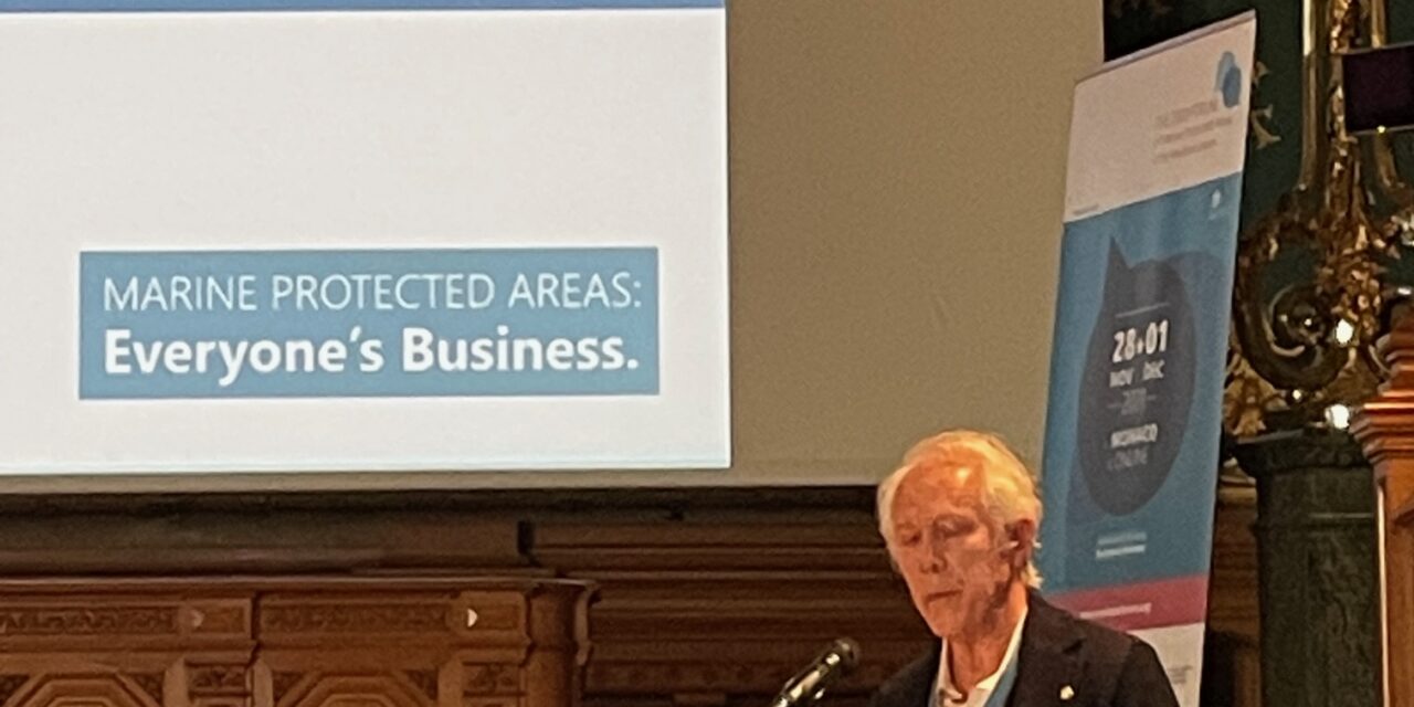 Avant la COP22, retour sur le Forum « 2020 » des AMPs en Méditerranée