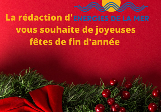 Bon et Joyeux Noël ! Merry Christmas !