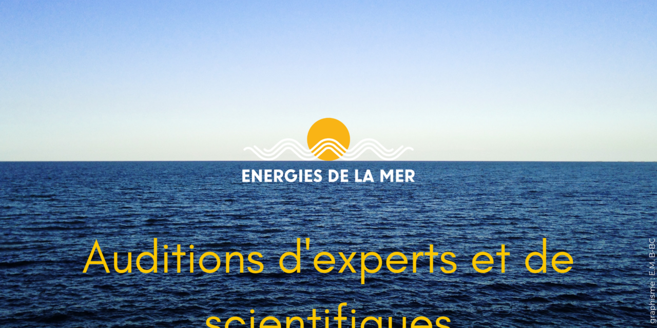 Débats publics 2019 – 2022 : Normandie 1, Méditerranée et Nouvelle-Aquitaine – Oléron : auditions d&rsquo;experts et de scientifiques des commissions particulières