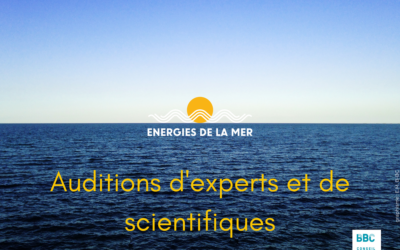 Débats publics 2019 – 2022 : Normandie 1, Méditerranée et Nouvelle-Aquitaine – Oléron : auditions d&rsquo;experts et de scientifiques des commissions particulières