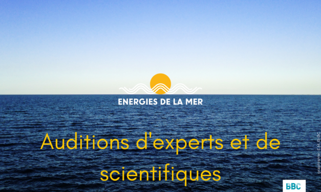 Débats publics 2019 – 2022 : Normandie 1, Méditerranée et Nouvelle-Aquitaine – Oléron : auditions d&rsquo;experts et de scientifiques des commissions particulières