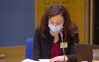 Les câbles sous-marins, rouages essentiels et fragiles de l’économie mondiale