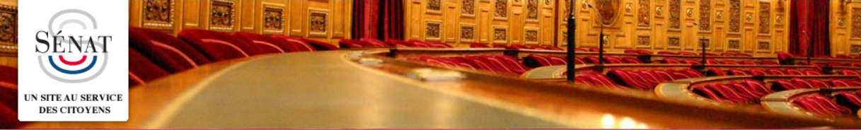 Mission d’information sur « L’exploration, la protection et l’exploitation des fonds marins : quelle stratégie pour la France ? »