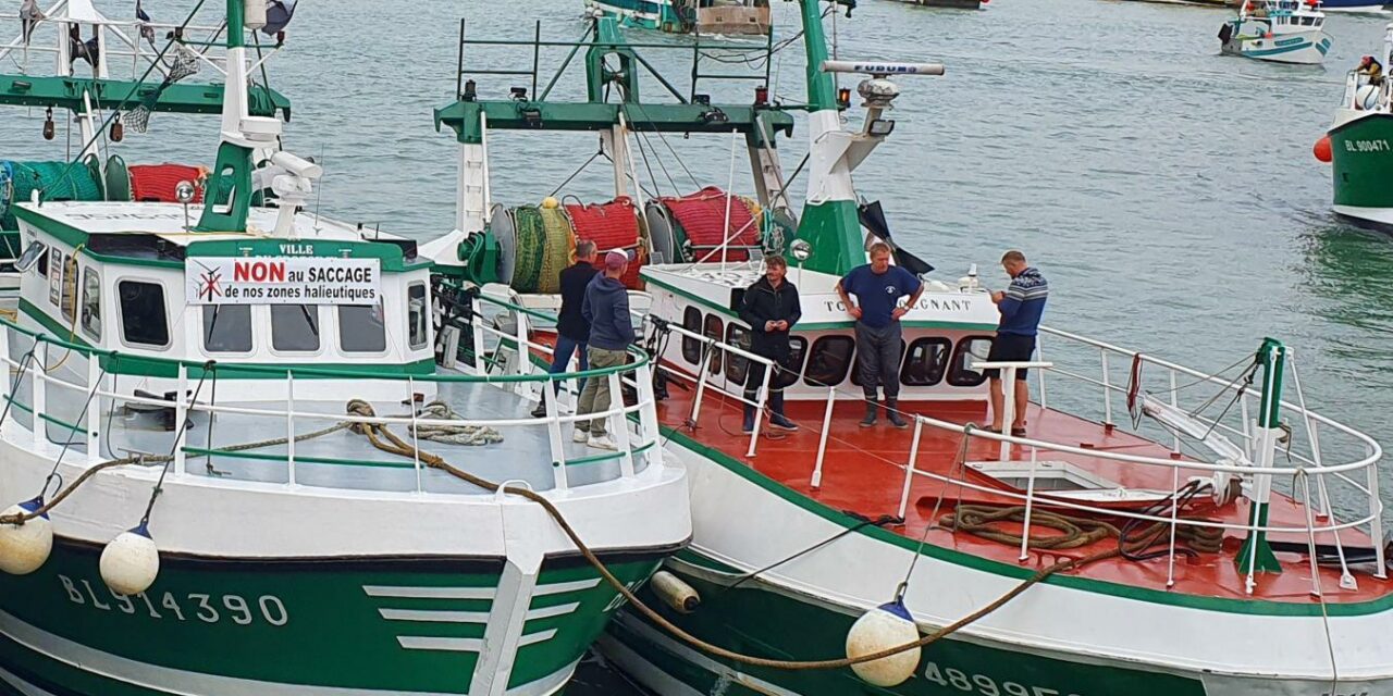 Manifestation contre les éoliennes en mer en Manche-mer du Nord : Condamnation, mais pas de suspension du permis de pêcher