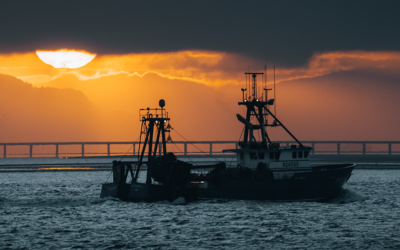 L’emploi maritime : Le thème central du sommet du « PFUE » à La Rochelle