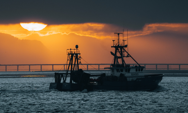 L’emploi maritime : Le thème central du sommet du « PFUE » à La Rochelle