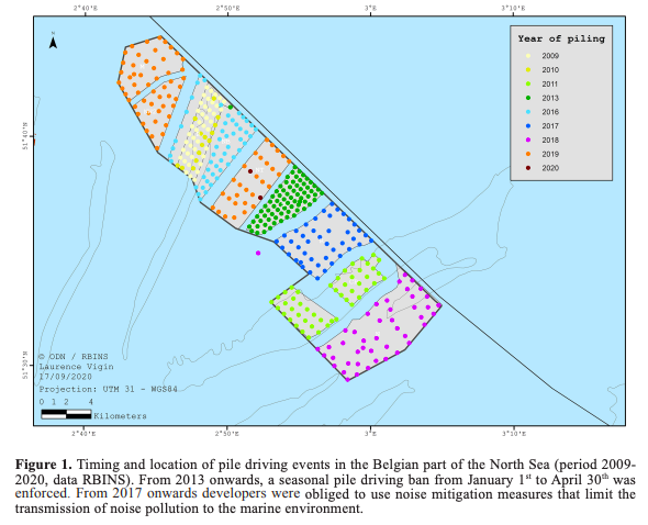 Le nouveau rapport sur l’impact environnemental des parcs éoliens offshore dans la mer du Nord belge est paru